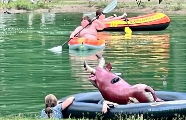 Stunning 1-bed Glamping Tent in Cleveland - Foto 15