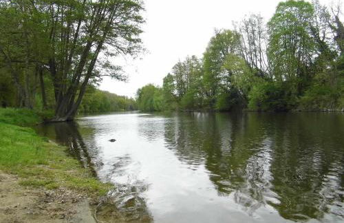 Joli petit T2 calme au bord de leau - Foto 12