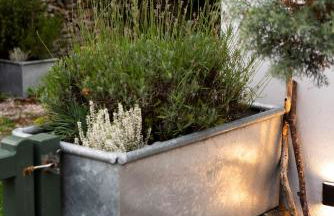 Sweet Pea Cottage - Photo 23