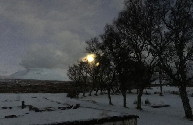 Garvault House - Photo 37