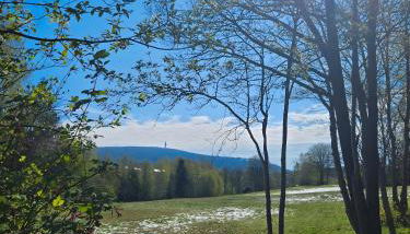 Auszeit zwischen Fellnasen - Foto 4