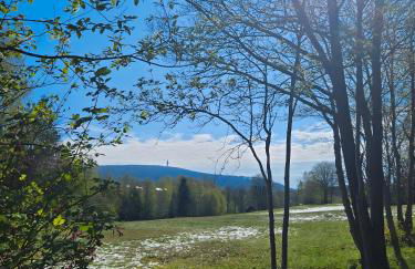 Auszeit zwischen Fellnasen - Foto 4