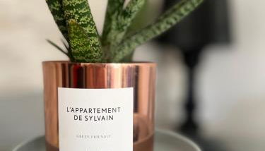 Escale urbaine studio Rennes - Photo 2