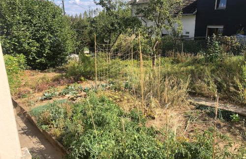 Naturnahes Wohnen in einem alten Haus mit Garten - Foto 15
