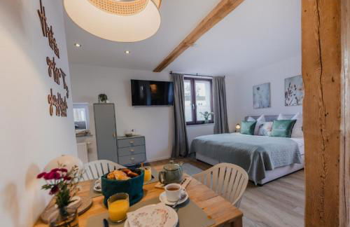 MAINTERRASSE Boardinghouse am Fluss klimatisierte Apartments mit 80qm Terrasse - Foto 25