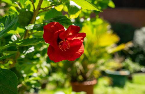 Ferienwohnungen Behling am Schufutsberg - Foto 64