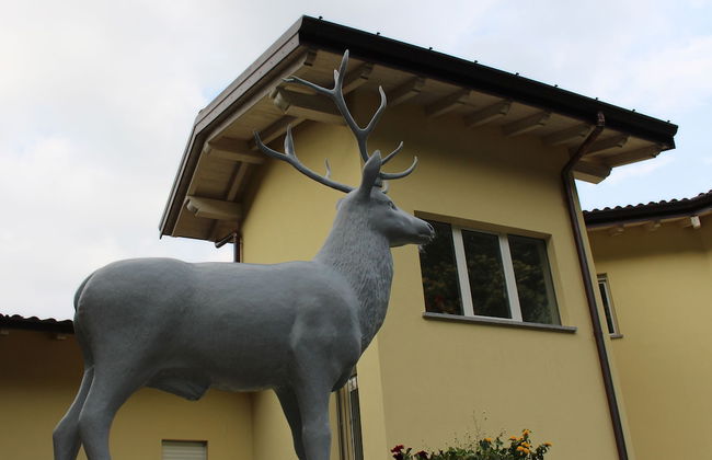 minerva residence - Foto 28