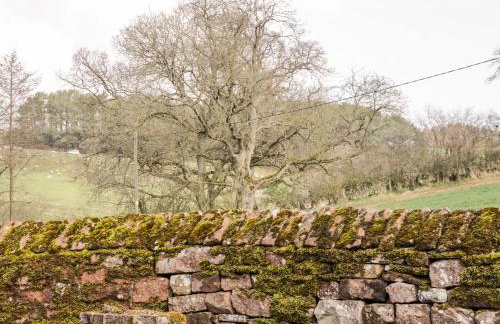 The Coach House - Foto 24