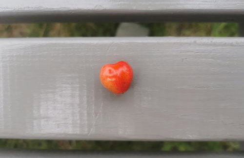 Amber Barn - Bursztynowa Stodoła - Noclegi u Loni - w zacisznym centrum nad morzem z parkingiem - Foto 65