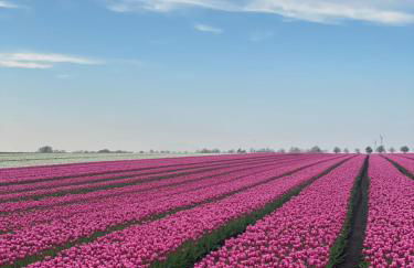 Brockenblick - Foto 25