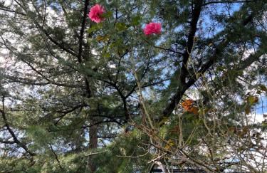 GSand Le Clos du May - Foto 41