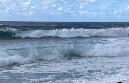 A Casa da Minha Mãe - Photo 8