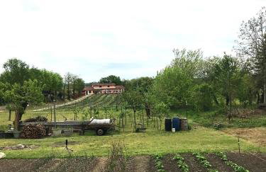 Le Ortensie Lago di Garda - Foto 64