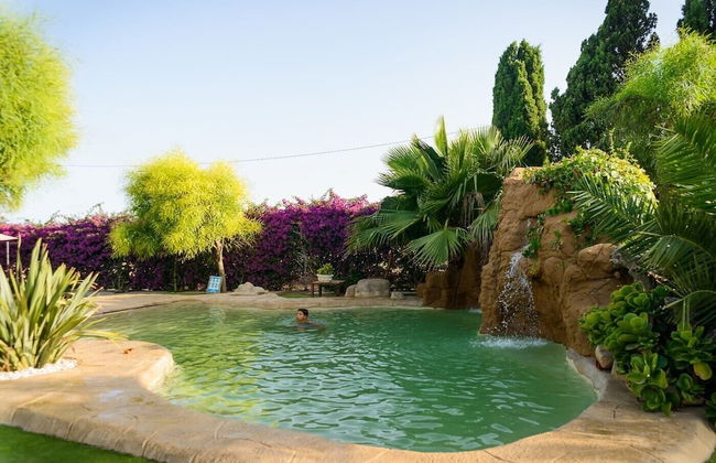 Lo Racó de Peret - Foto 1