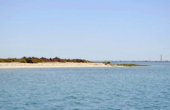 Paseo en barca ecológica por la Ría Formosa - Foto 5