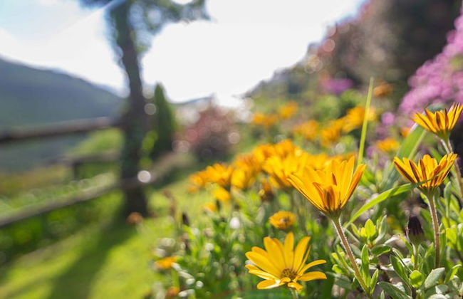 El Bosque de las Viñas - Foto 73