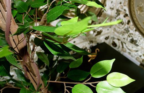 Stunningly Opulent Gold Apartment Near Sheffield FULL SKY TV - Foto 10