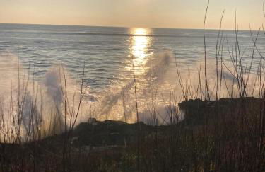 Gîte les Oyats 2 personnes 50m de la mer - Foto 32
