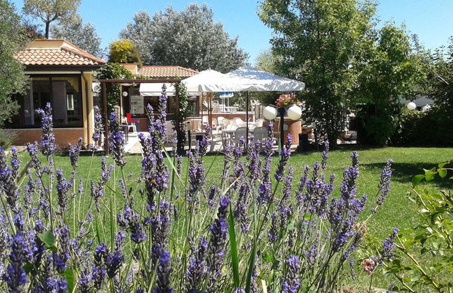 Fattoria Belvedere - Photo 31