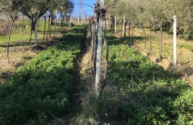 agriturismo cerquatonda - Foto 121