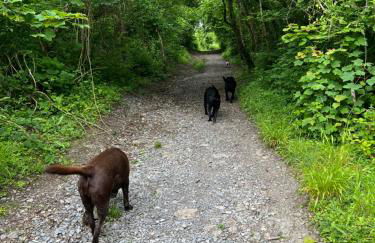 Kabin in the woods with Hot Tub - Foto 71