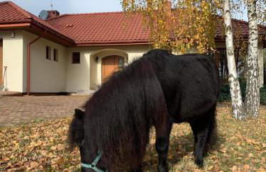 Zacisze Jurajskie - Foto 44