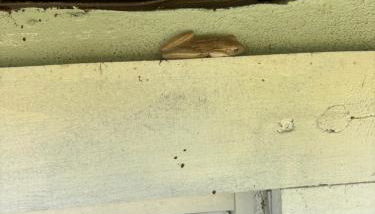 Cardinal vacations - Foto 4