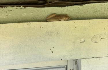 Cardinal vacations - Foto 4