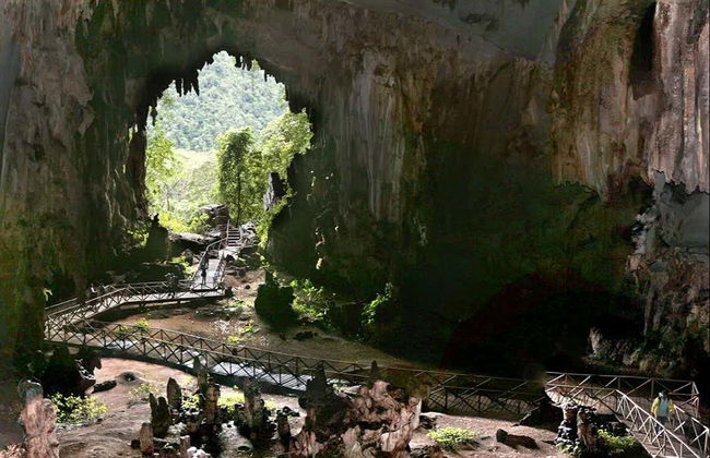 Escursione al Parco Nazionale Tingo María - Foto 5