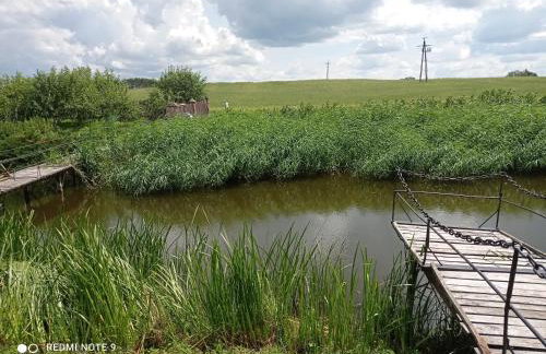 Nad żabim stawem - Foto 26