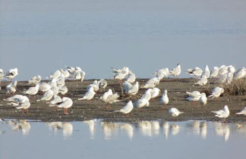 Porta dei Mari - Foto 60