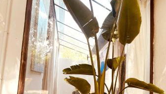 Le patio, jardin privatif, tennis - Photo 3