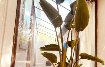 Le patio, jardin privatif, tennis - Photo 3