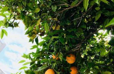 NEW! Romantic house at red lake in Torrevieja! - Foto 23