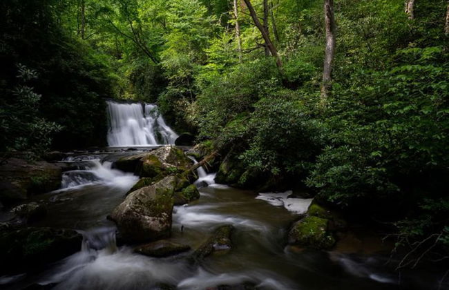 Dragon's Nest Mountain View - Foto 23