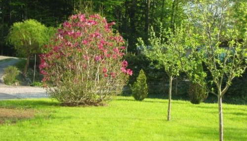 Apartment Gottal by Interhome - Foto 2