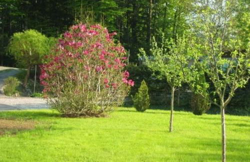 Apartment Gottal by Interhome - Foto 2