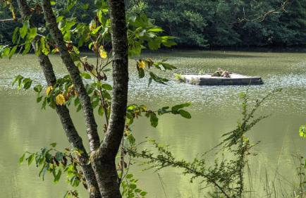 Am Siegerländer Höhenweg - Foto 15