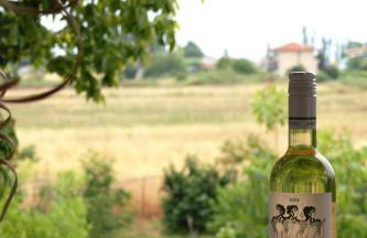 Zoe By The Sea - Foto 23