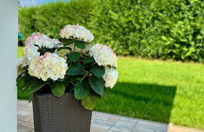 Doksy Ldma001 in Doksy - Foto 44