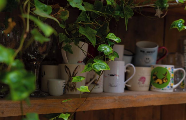 Hapus Hideaway Retreat Site, Sleeps 29 - Foto 24