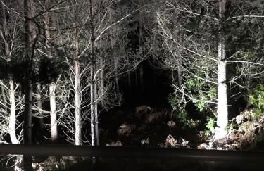 Inchmarlo villa27 - Foto 10