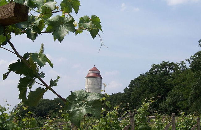 "weinberg Uitzicht" in het Felix Huis - Foto 18