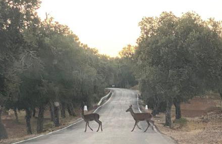 Casa Celia - Foto 33