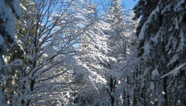 Ferienhaus Evi - Foto 5