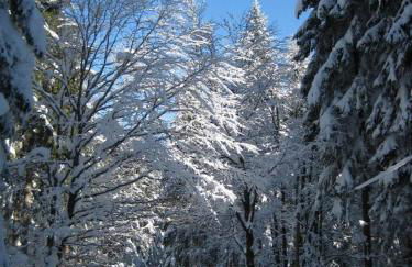 Ferienhaus Evi - Foto 5