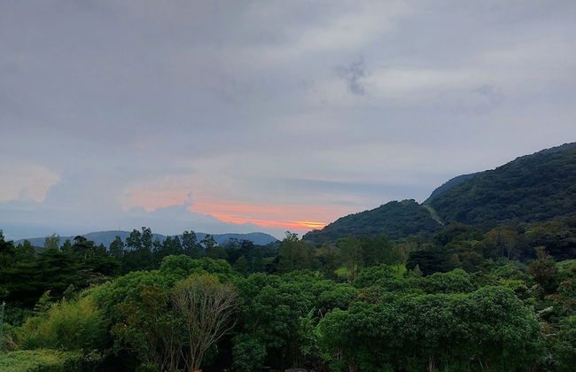 Villa Golondrina - Foto 20