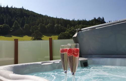 Llyn Brenig Lodge - Foto 5