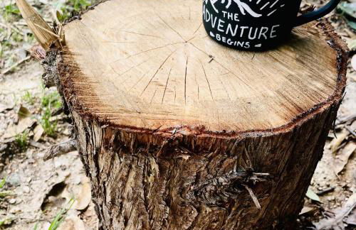 Casa Rural las Tres Rosas - Foto 44