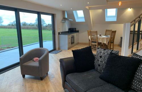 A space with amazing views and alpacas to enjoy - Foto 5